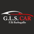 G.L.S S.R.L.