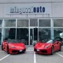 MINGUZZI AUTO S.R.L.