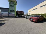 Monster cars