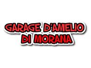 GARAGE D'AMELIO DI MORANA GIOSUE'