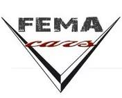 FEMA SAS