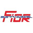 ELETTRODIESEL DI F.LLI FIOR GINO & FEDERICO S.N.C.