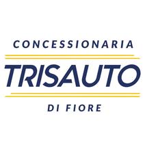 Concessionaria Tris Auto