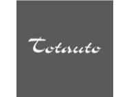 TOTAUTO SRL